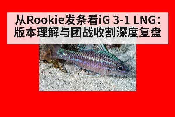 从Rookie发条看iG 3-1 LNG：版本理解与团战收割深度复盘